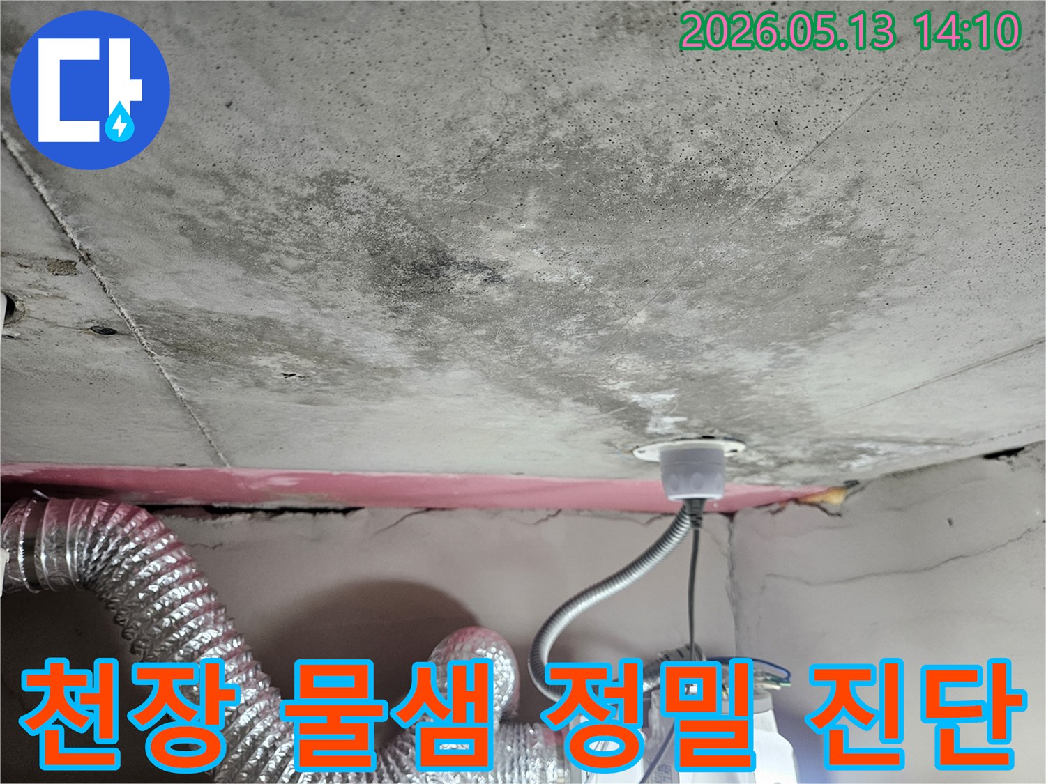 천장 콘크리트 슬라브에-발생한 물샘 흔적과-곰팡이 번식 현장을-정밀하게 진단 중입니다