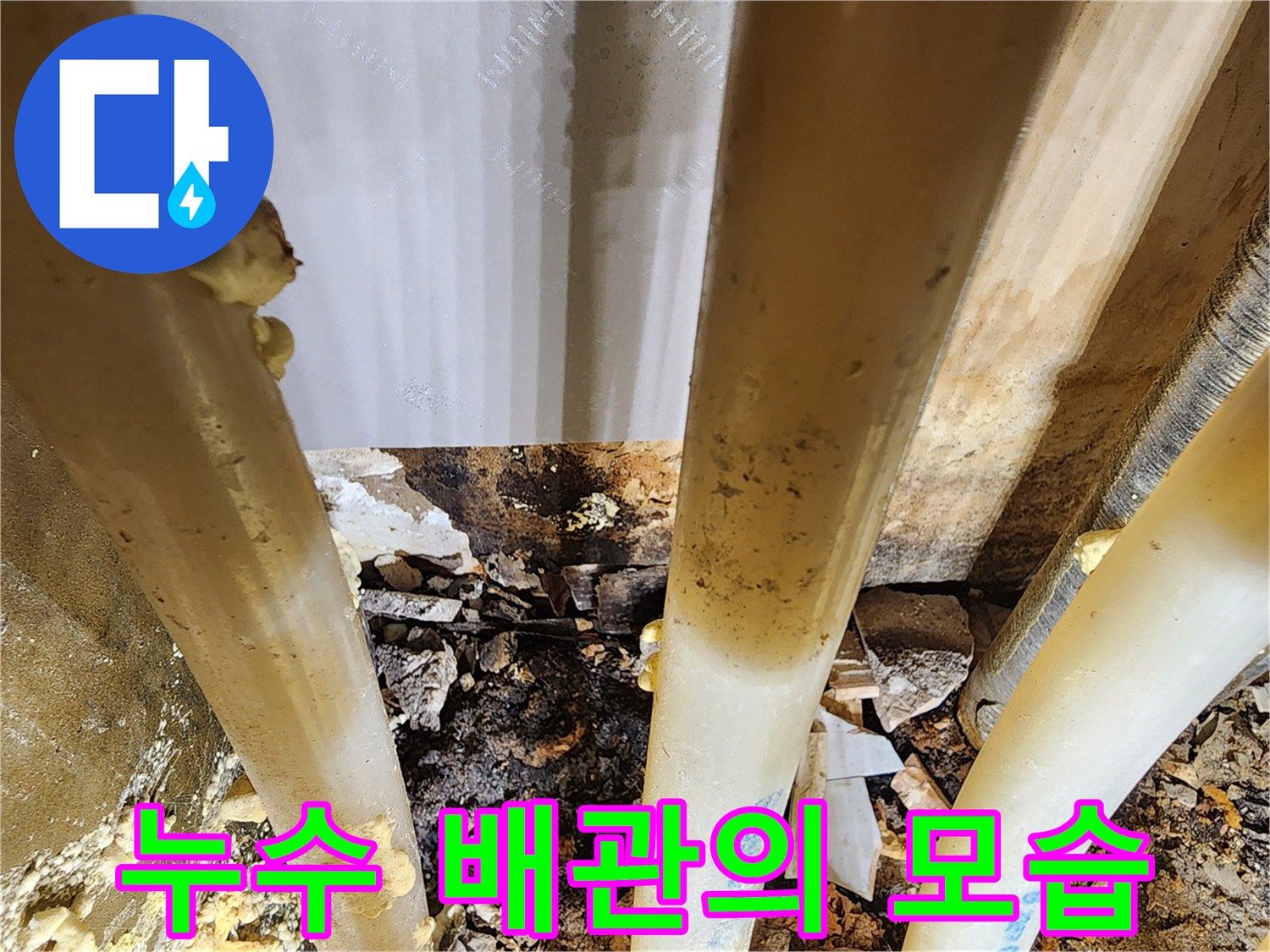 물이-계속-새어나와-주변을-적시고-있는-배관의-문제점-확인