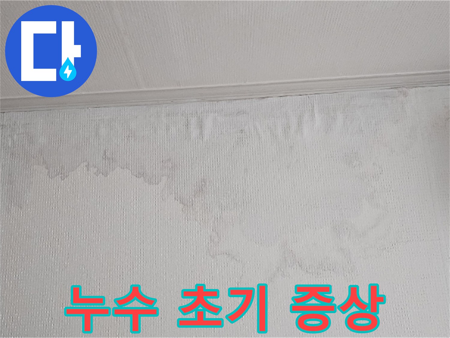 천장과 벽지 경계에 물이 새어 벽지가 젖고 변색된 누수 흔적입니다-정밀 진단이 필요합니다