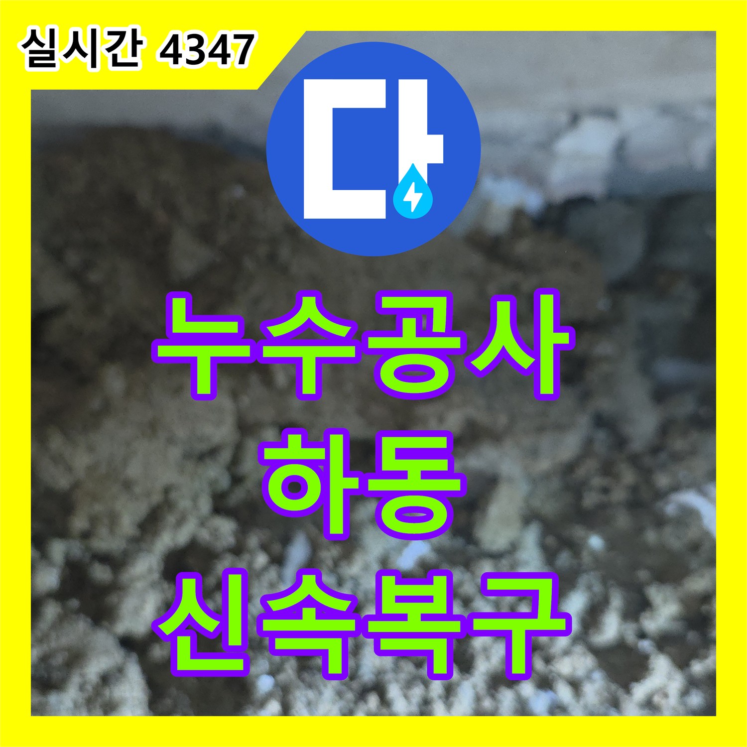누수탐지, 수원시 영통구에서 발생한 벽면과 바닥에 습기를 유발한 누수 문제, 정확한 진단과 신속한 복구로 큰 피해를 막았습니다.