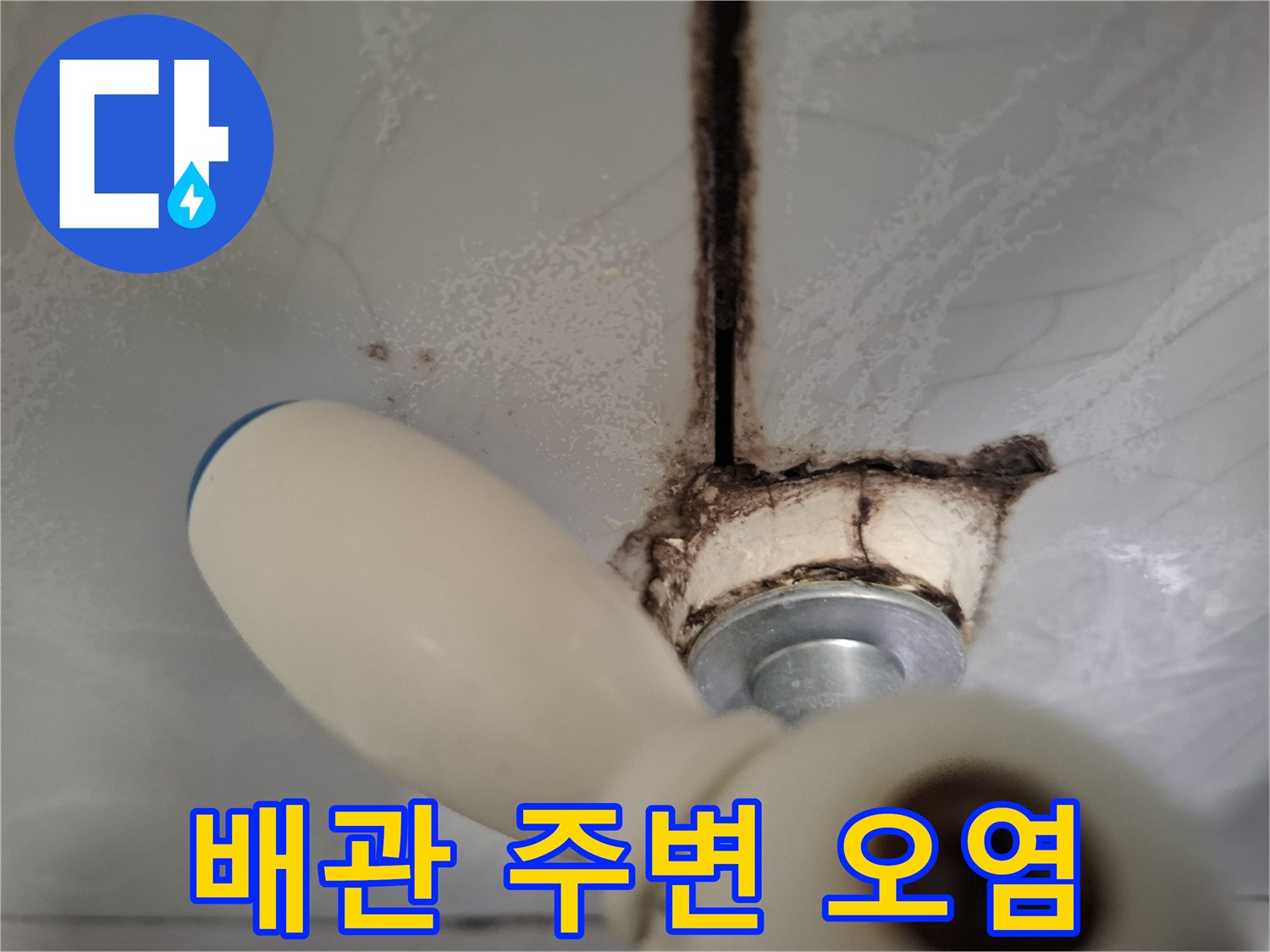 배관 연결 부위-타일 틈새의 검은 곰패와 습기