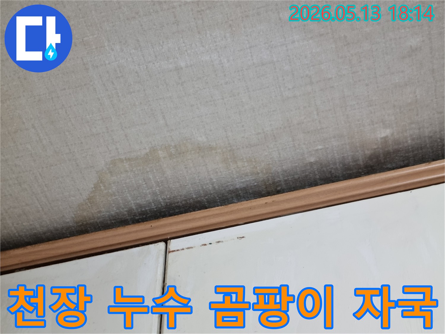 이 사진은-천장에 발생한-누수로 인한-물 자국과-곰팡이의-심각한 상태를-보여주고 있습니다