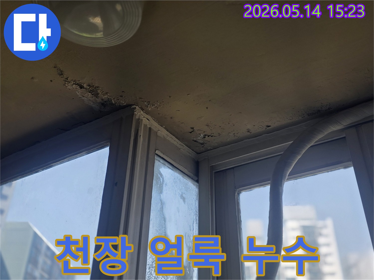 천장에 선명하게 남은 물 얼룩과- 그 주변에 번식한 곰팡이를 보여주는 사진입니다