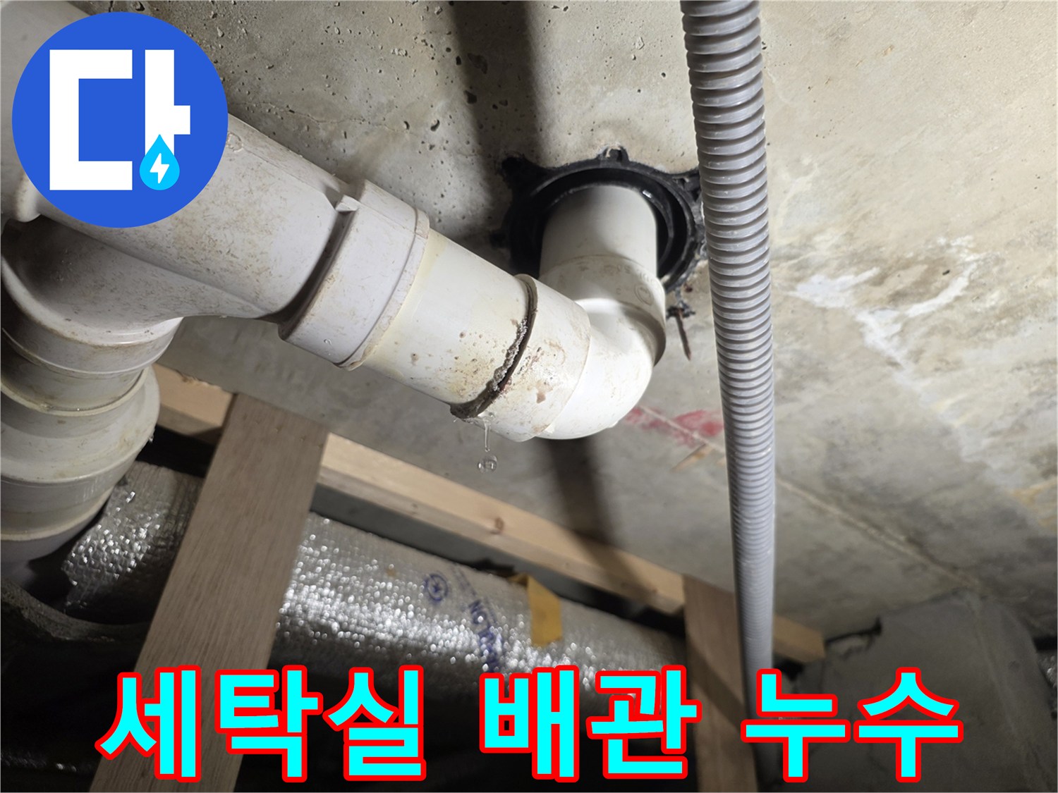 세탁실-천장-배수관-연결부위-누수-현황