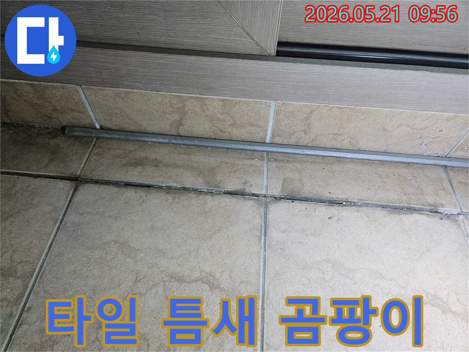 바닥-타일-틈새에-생긴-검은색-곰팡이를-보여주며-누수-가능성을-시사하는-현장-사진