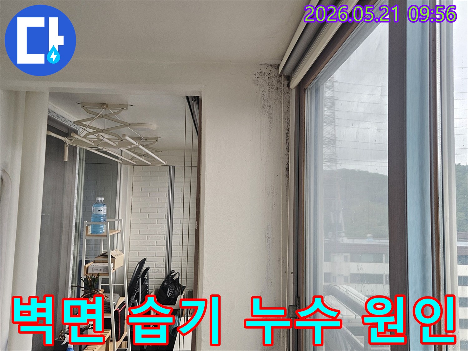 창문 모서리 벽면에 습기로 인한 검은 곰팡이와 물-얼룩이 심하게 발생한 모습으로-누수 원인 진단이 시급합니다.