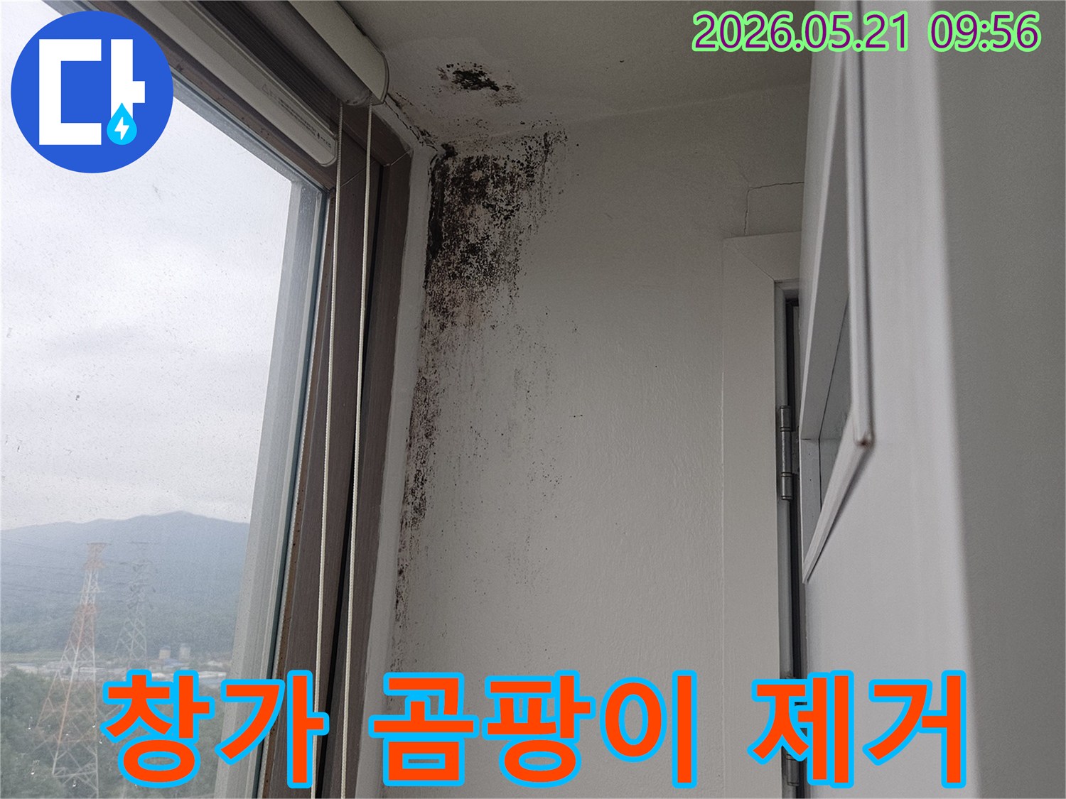 창문 상단 벽과 천장 모서리에 심각하게 번식한-검은 곰팡이-습기-누수-피해 현장