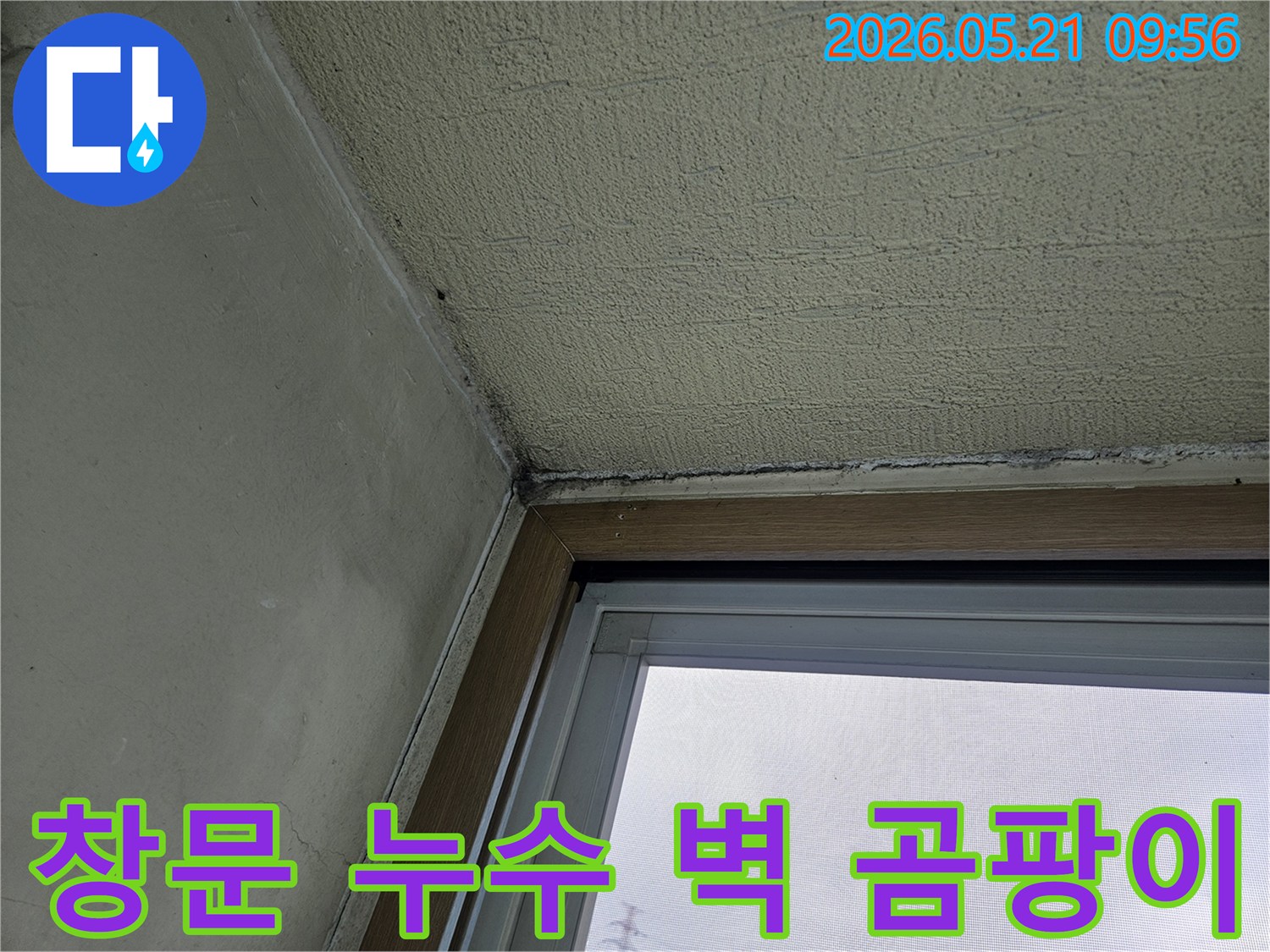 창문 주변 벽면에 발생한-곰팡이와-물기로 인한 손상을 보여주는-아파트 내부 벽의 모습