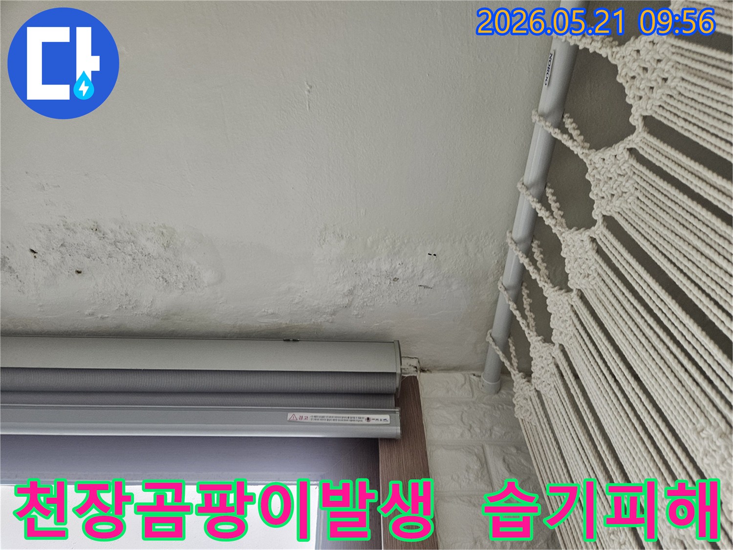 천장에-발생한-곰팡이와-습기로-인한-피해-상황을-보여주는-사진