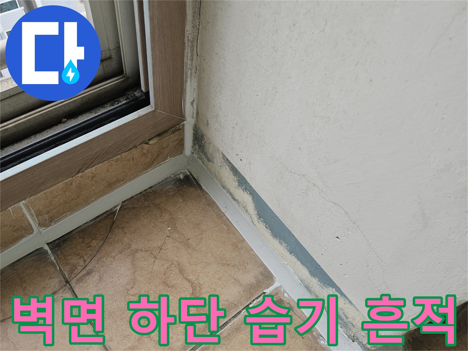 타일 접합부 주변의 젖은 듯한 오염 및 습기 발생 부위