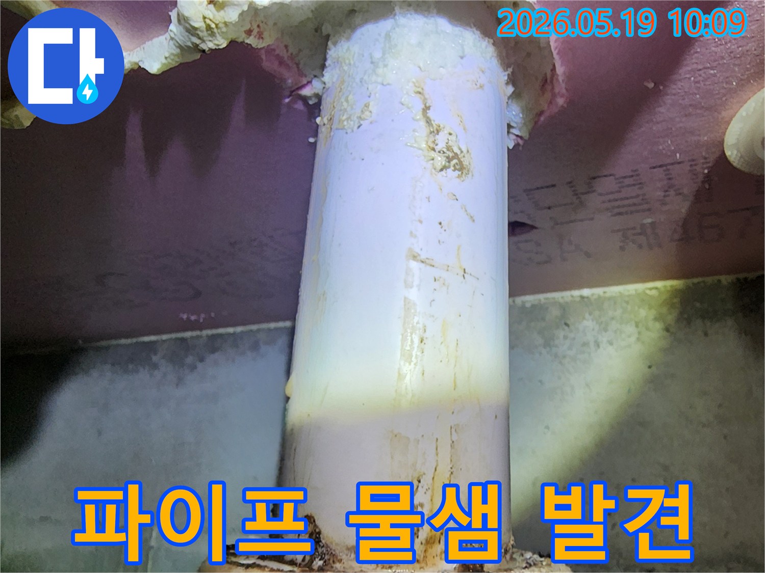 단열재를 뚫고 올라온-배관 주변에-물때와 곰팡이가-보이는 상황