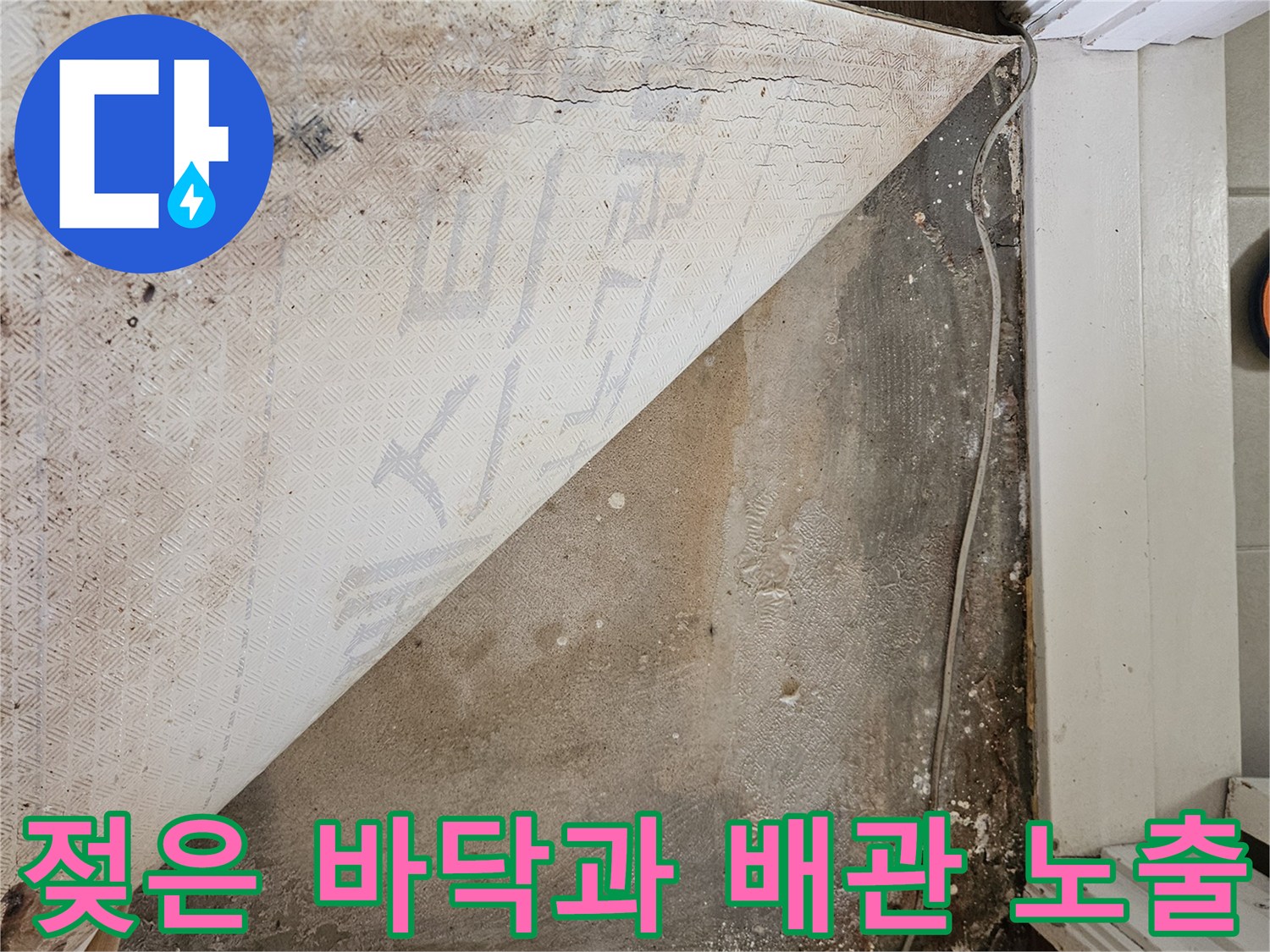 길동 아파트 누수 현장-바닥재 아래에 드러난 젖은 콘크리트와 오염 부위