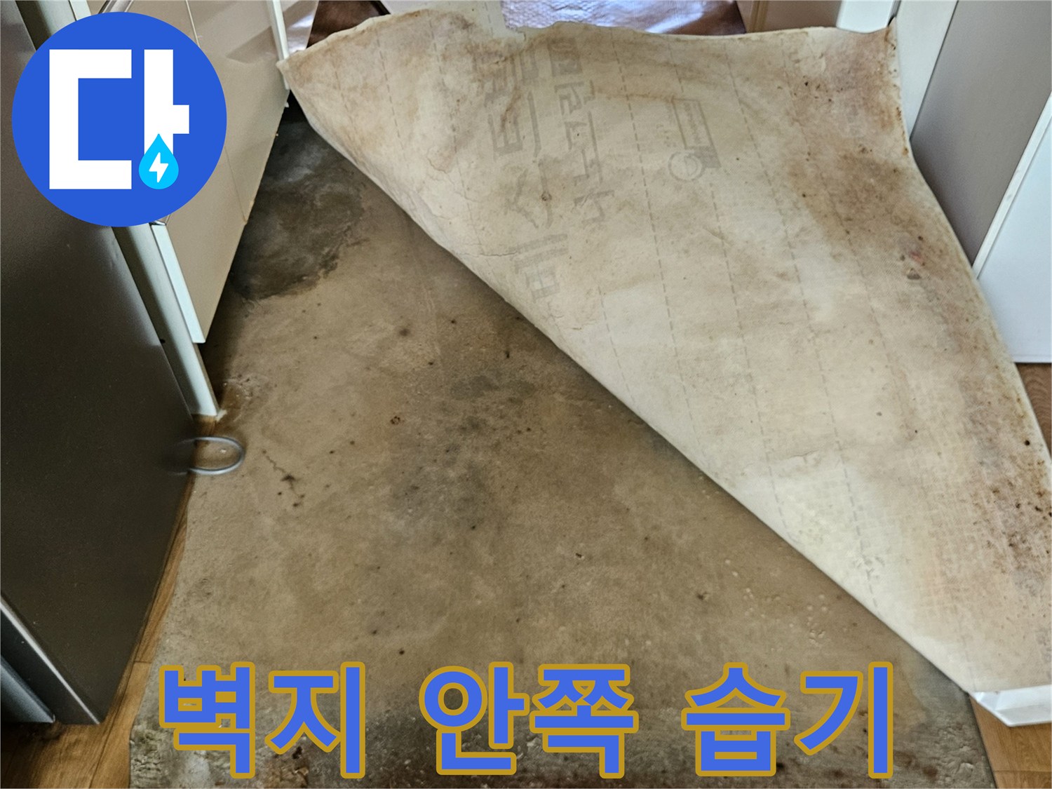 누수 탐지 과정-벽면 내부에 발생한 심한 곰팡이 흔적