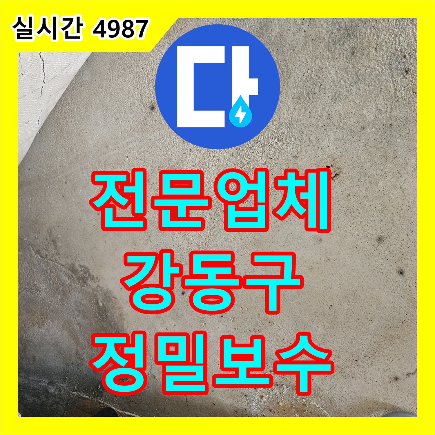 누수전문업체 발생한 벽면 습기와 곰팡이, 전문 장비로 누수 지점 탐지 후 보수하는 서울 강동구