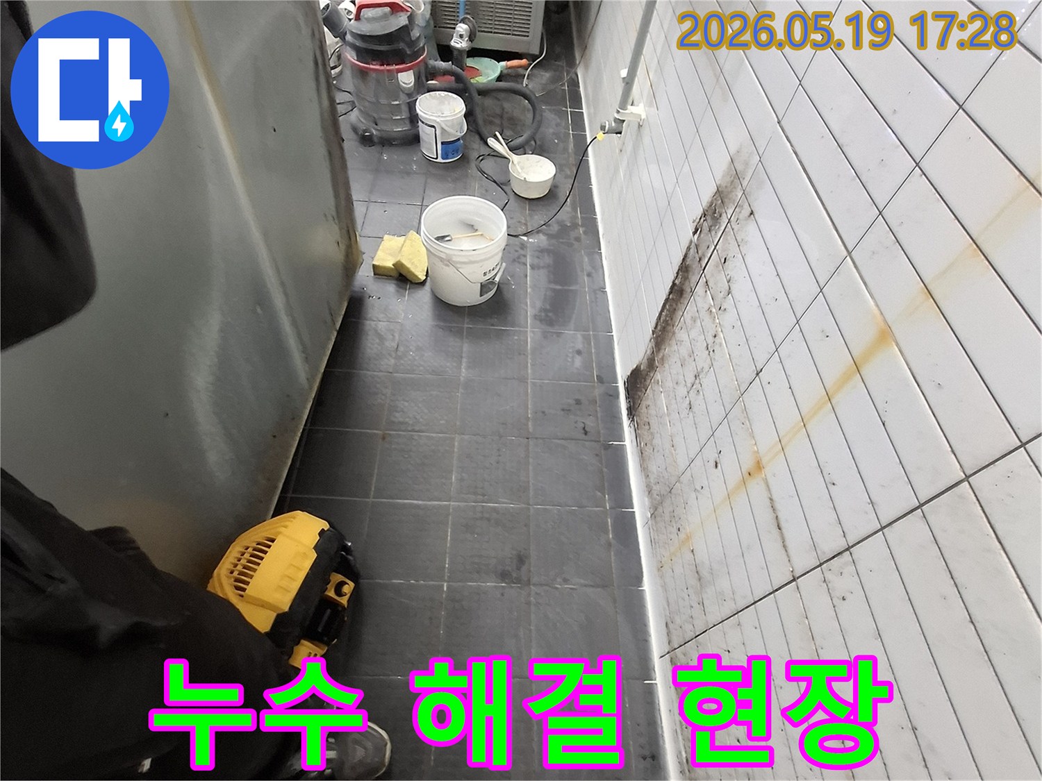 누수 해결 전문가가-천장 누수와 곰팡이-문제를 해결하기 위해-현장을 점검하는-모습입니다.