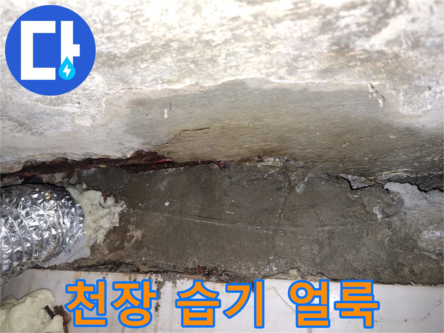 물기가 스며든 천장 틈새와 콘크리트 부위