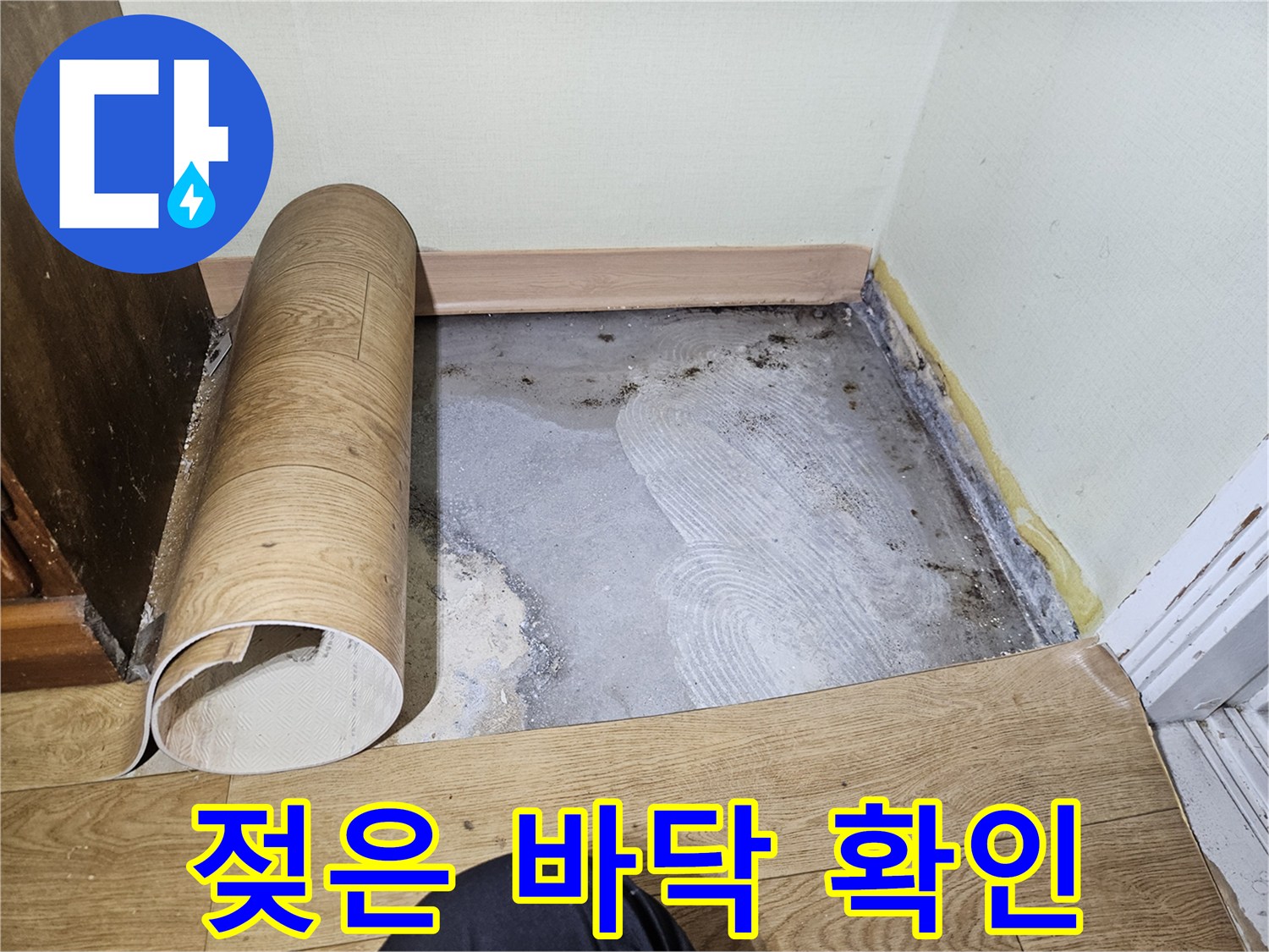누수 탐지 후 마루를 걷어내고 드러난 젖은 콘크리트 면의 모습입니다.