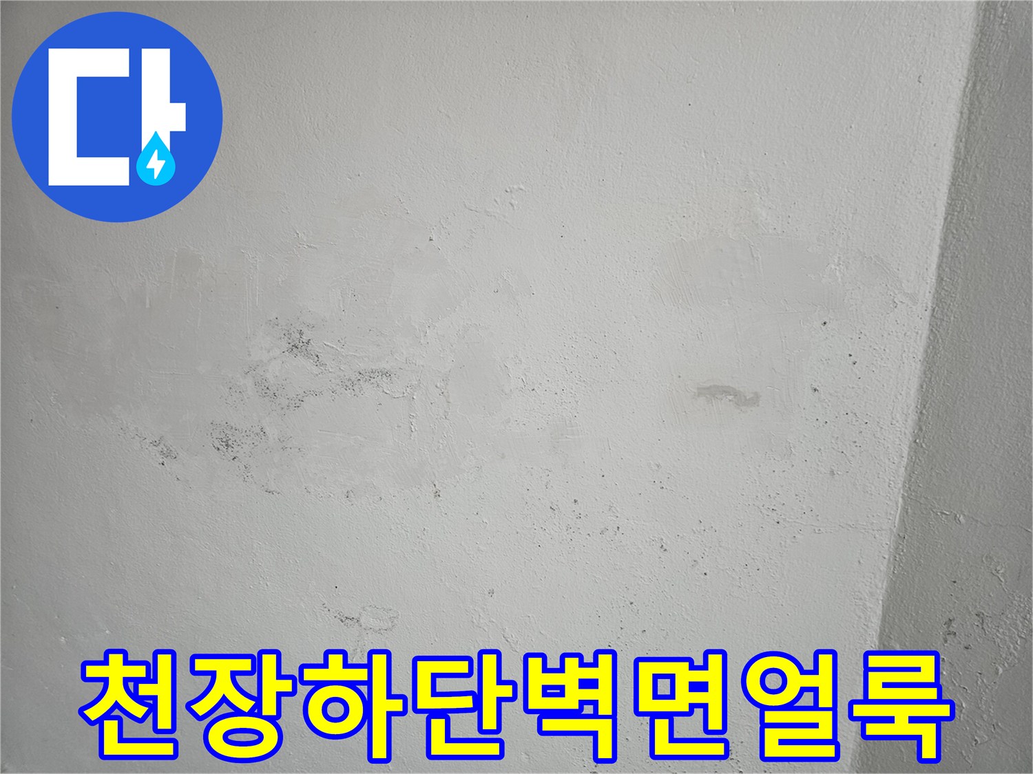 욕실-천장-경계-부근의-습윤한-벽면-상태
