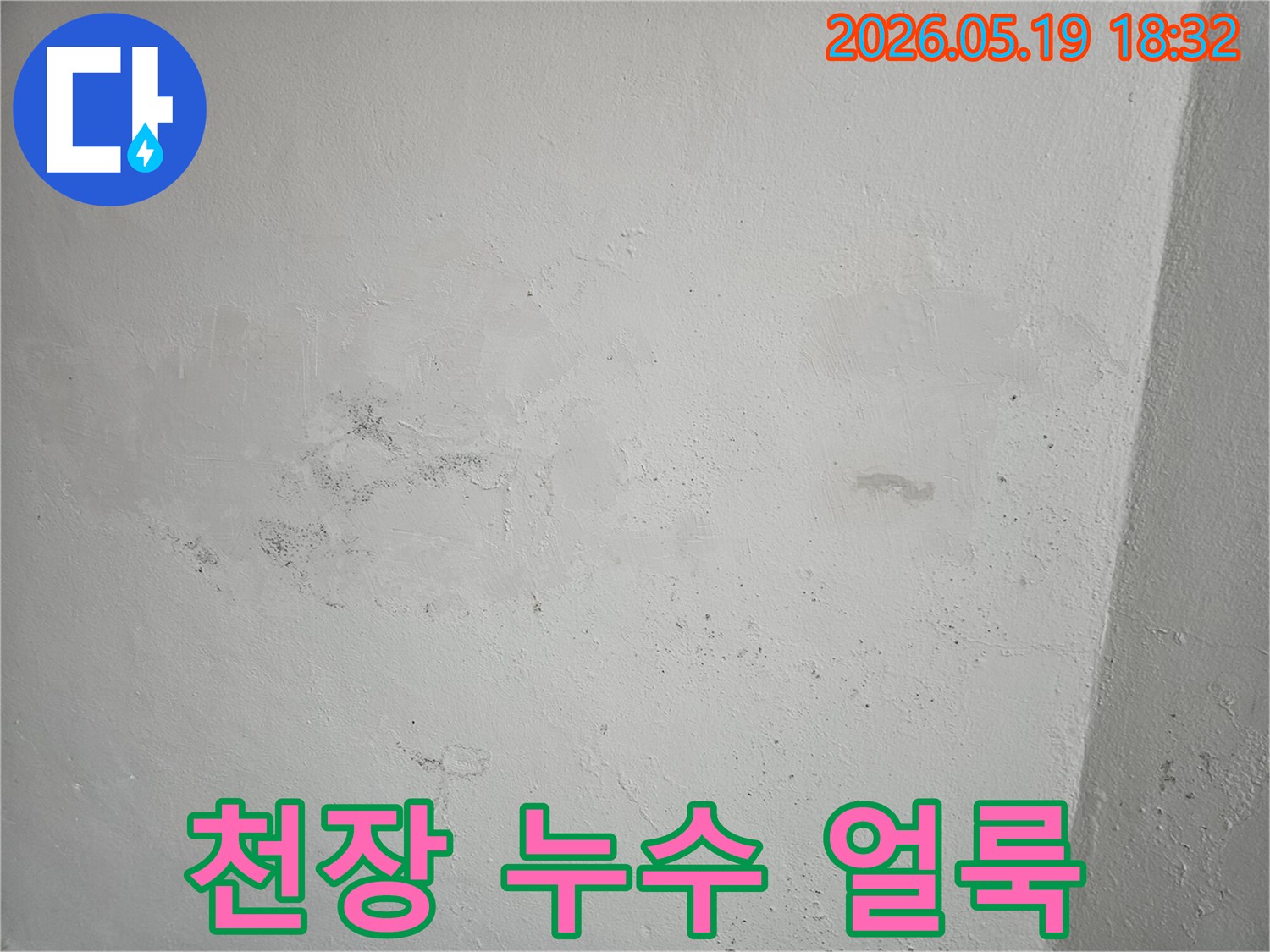천장에서-물이-새어-벽에-얼룩과-곰팡이가-생긴-모습을-담은-이미지