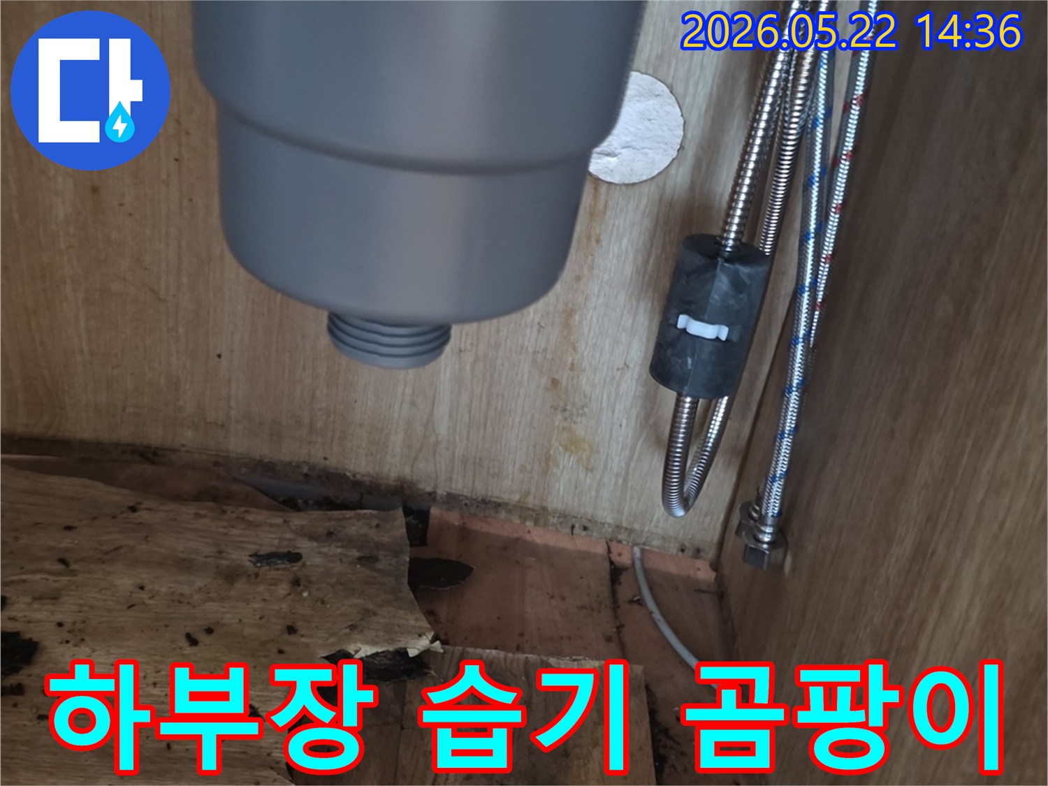 싱크대 하부장 내부의 습기로 인한-곰팡이 발생과-목재 손상-그리고 배관의 모습을 보여주는 현장 사진