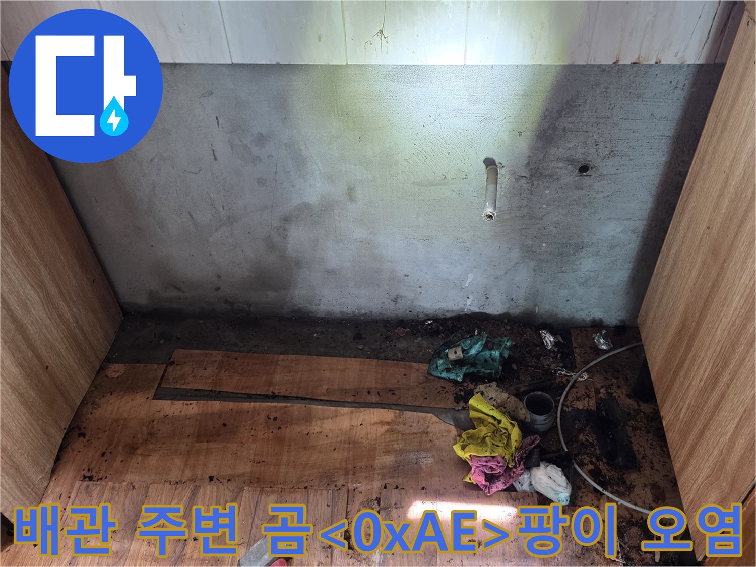 주방 싱크대 하단-배관 부위의 습기와 곰팡이가 발생한 바닥 상태
