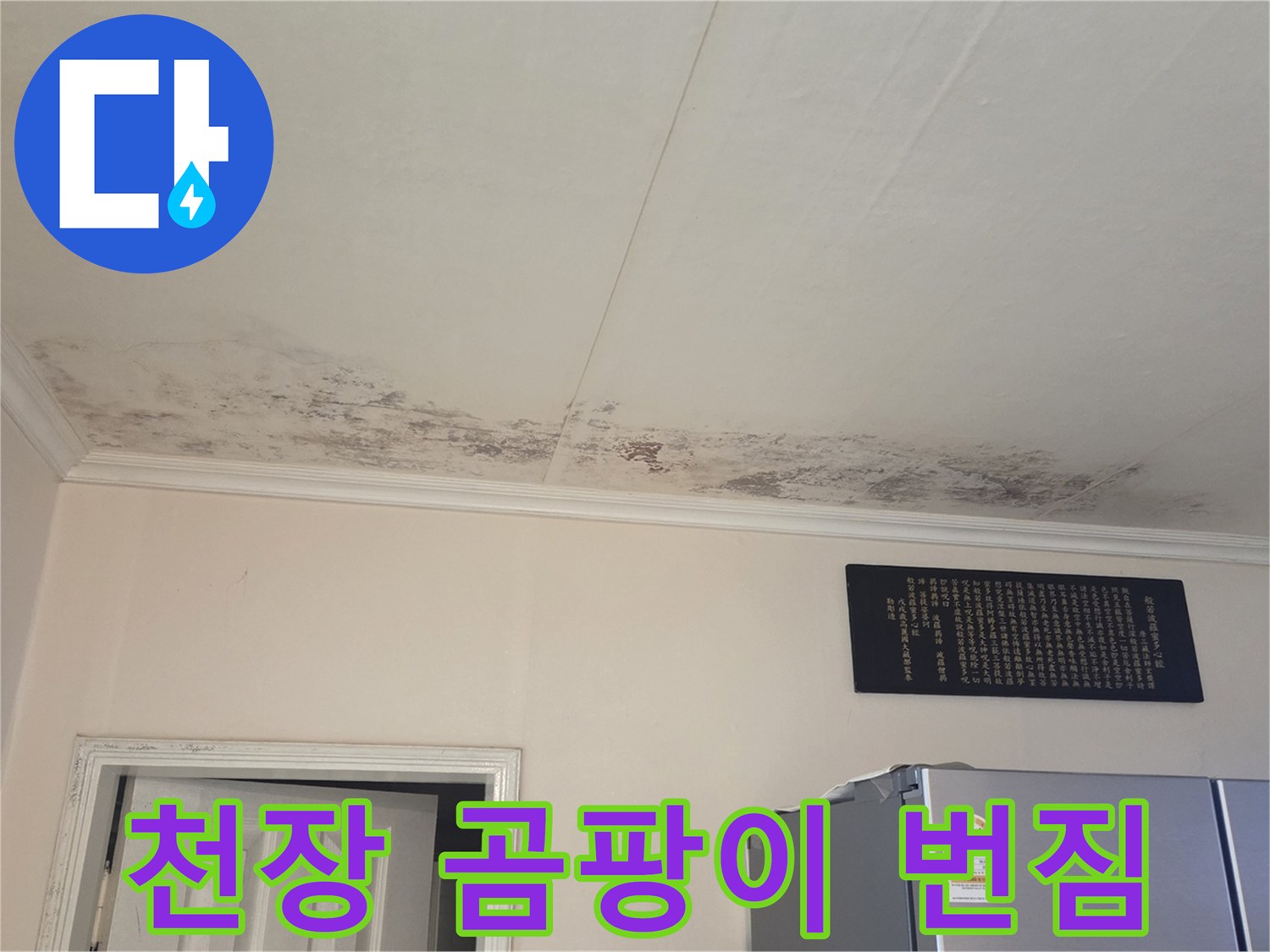 누수로 인한 천장 마감재의 곰팡이와 물자국 오염 부위