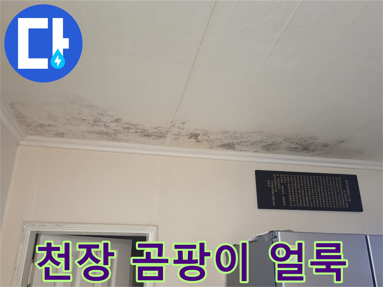 아랫집-화장실-입구-천장의-심한-곰팡이와-물자국