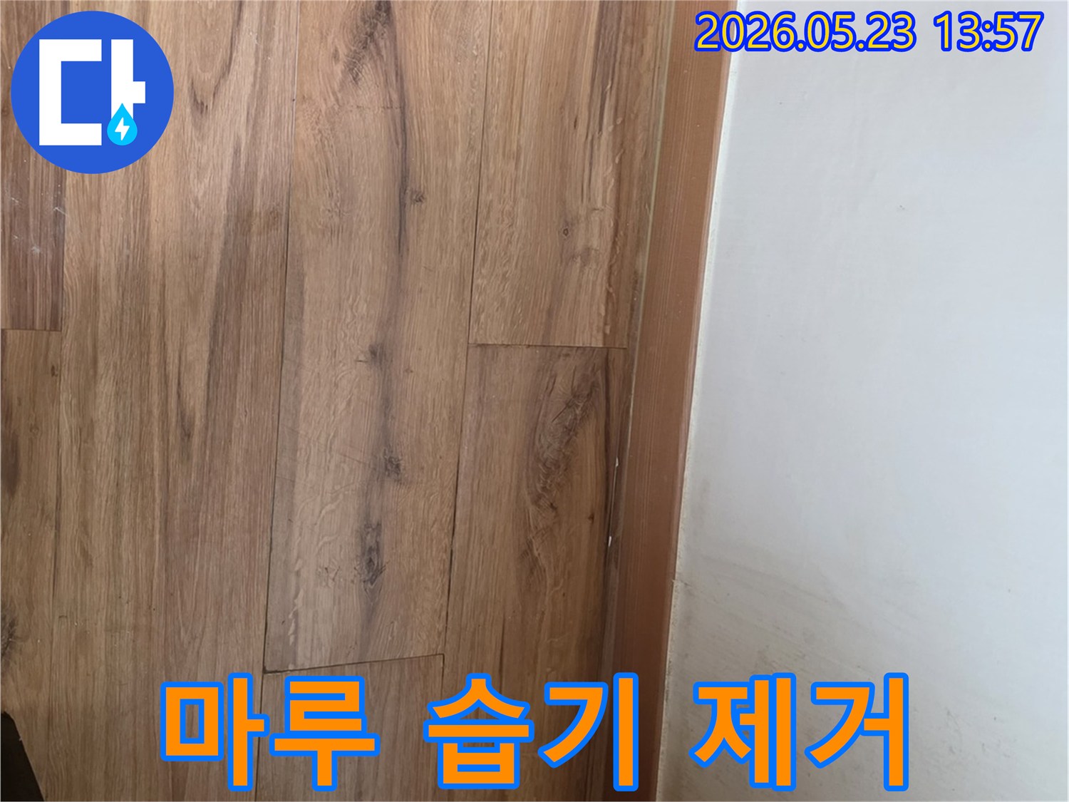 누수로-인해-변색된-마루와-습기-피해를-확인하고-쾌적한-환경을-위한-조치를-계획하는-현장-사진입니다.