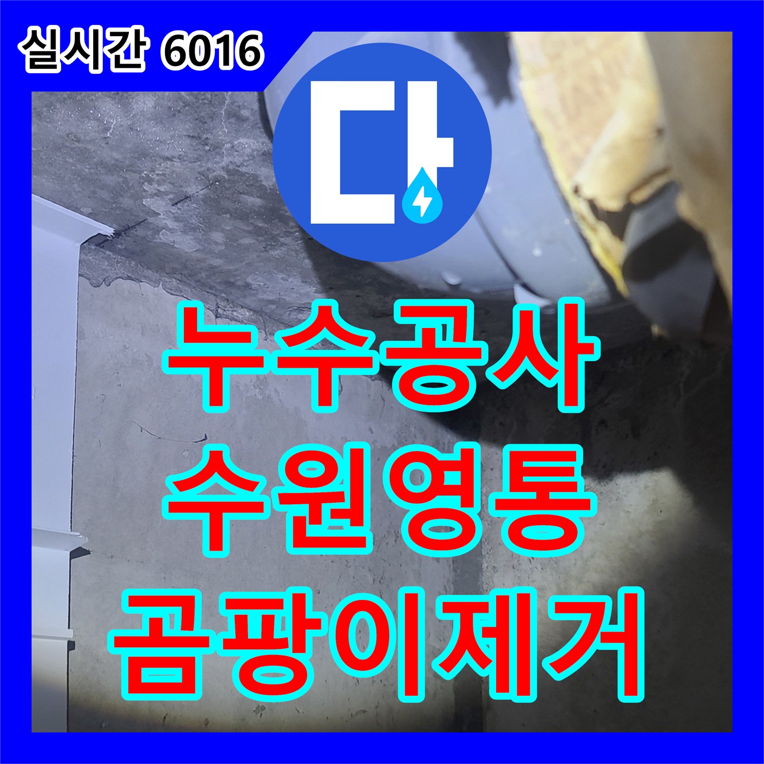 누수탐지전문업체에서 천장 누수 흔적과 곰팡이, 위층 배관 문제 원인을 정확히 탐지하는 방법 - 경기 수원시 영통구