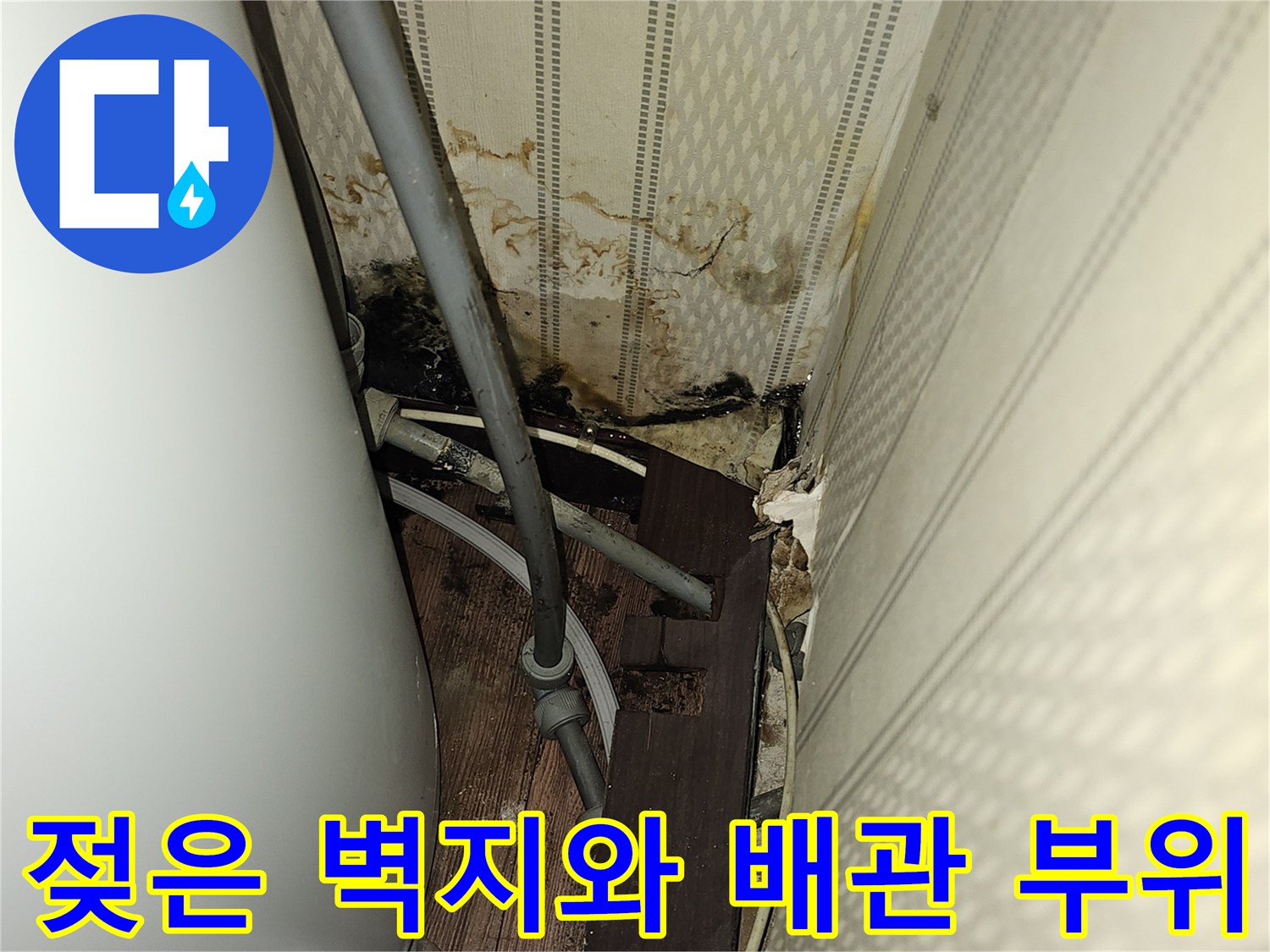 누수로 인해 곰팡이와 습기가 발생한-온수기 주변 배관