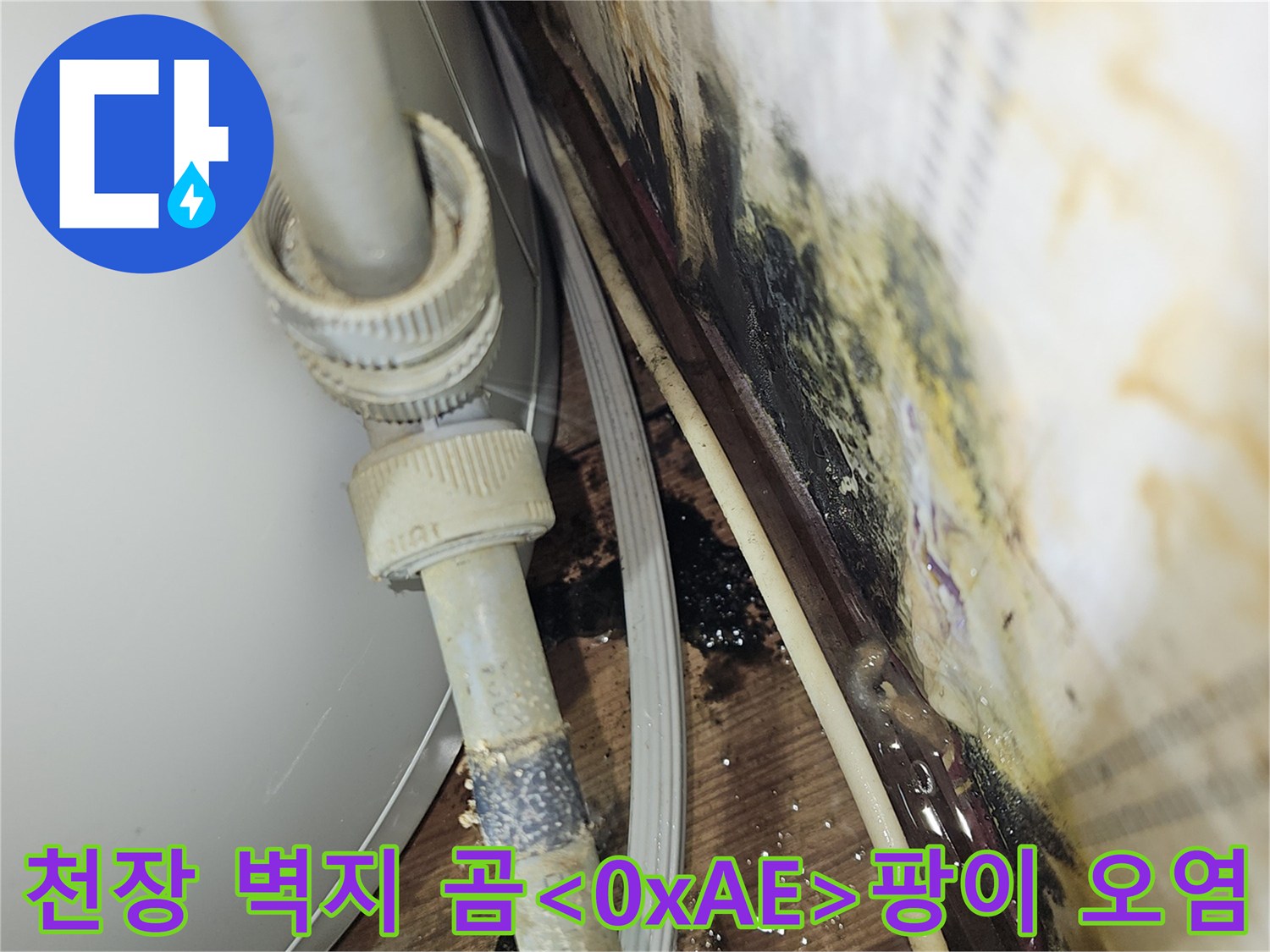 누수로 인해 오염된 천장 마감재와 배관 연결부
