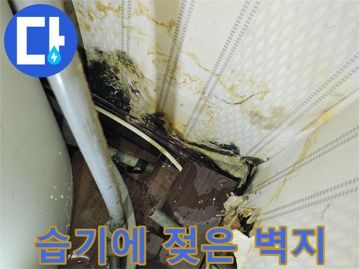 배관-주변-벽지의-심한-습기-및-곰팡이-현황
