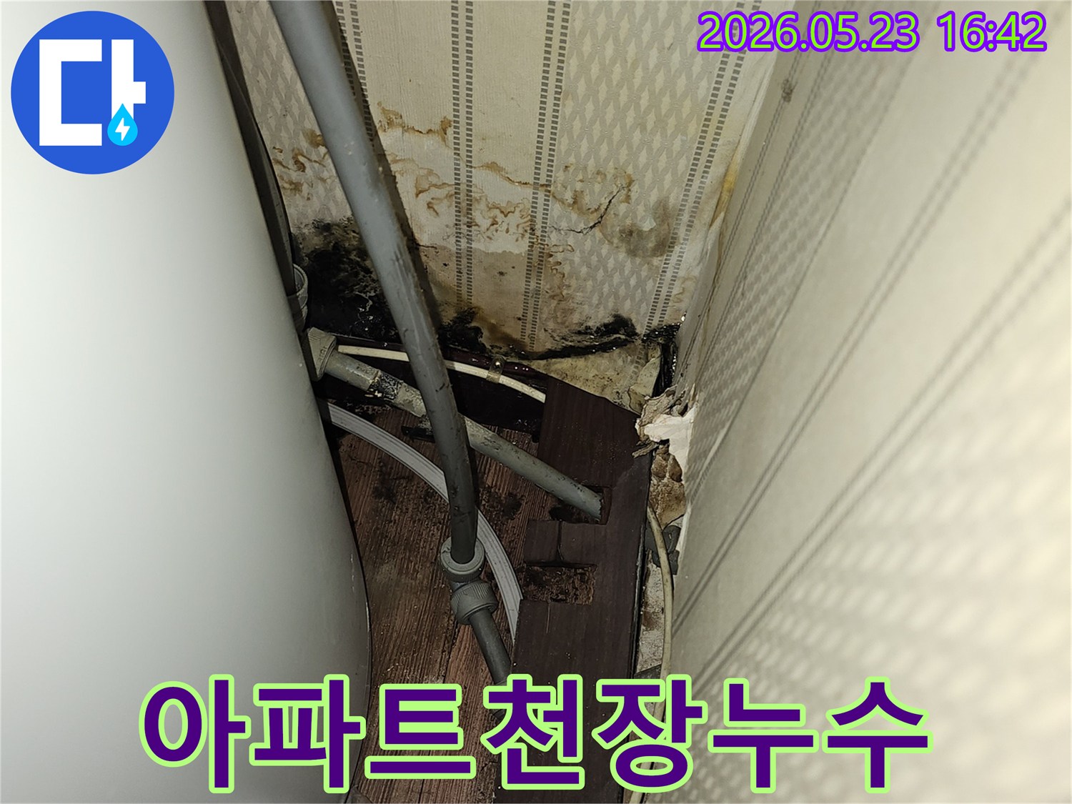 이 이미지는 심각한 천장 누수로-인해 벽지가 젖고-곰팡이가 발생한-욕실의 모습을 보여줍니다.