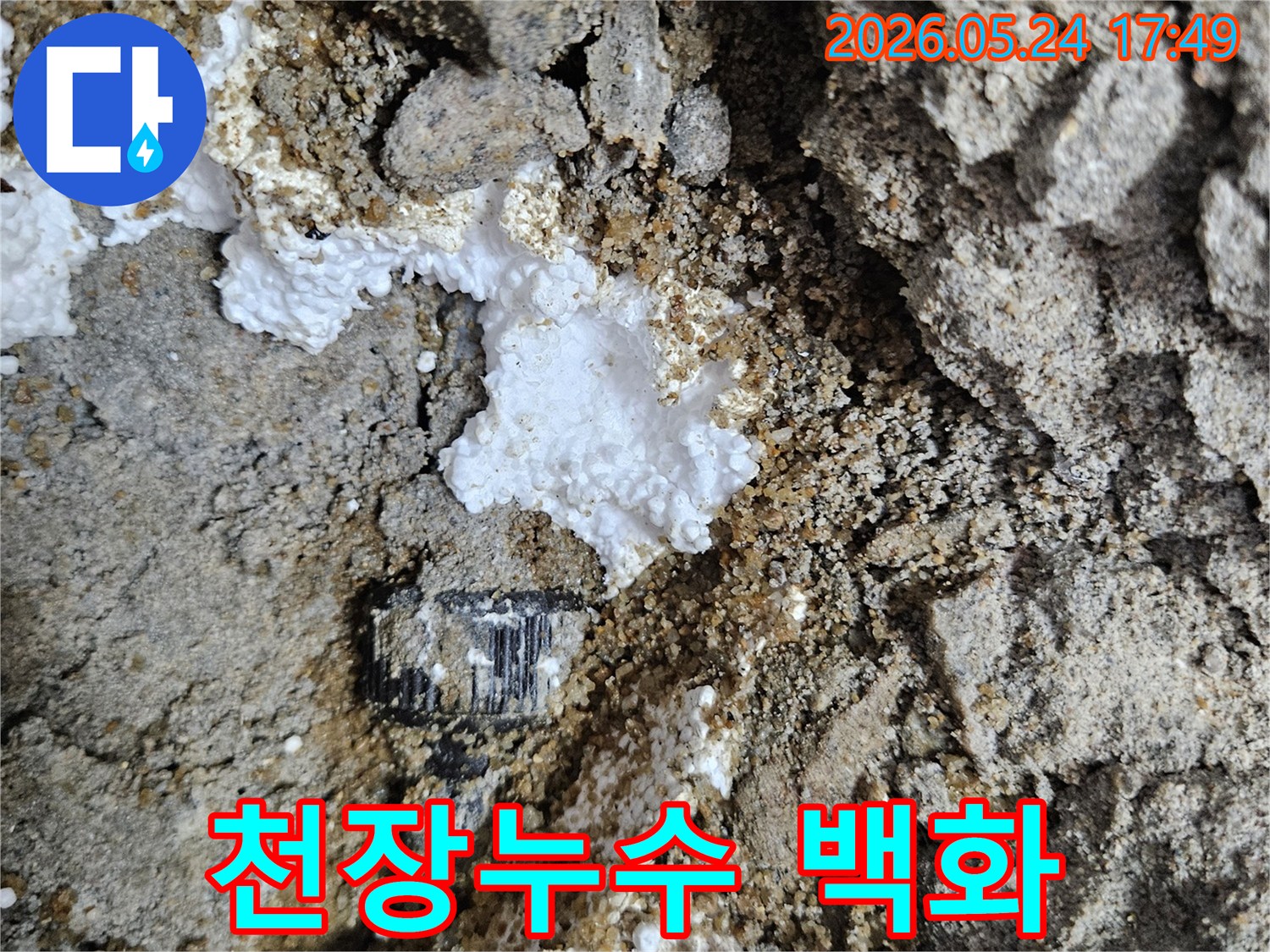 누수-지점의-천장-아래-콘크리트-틈새에서-발견된-백화현상-증거