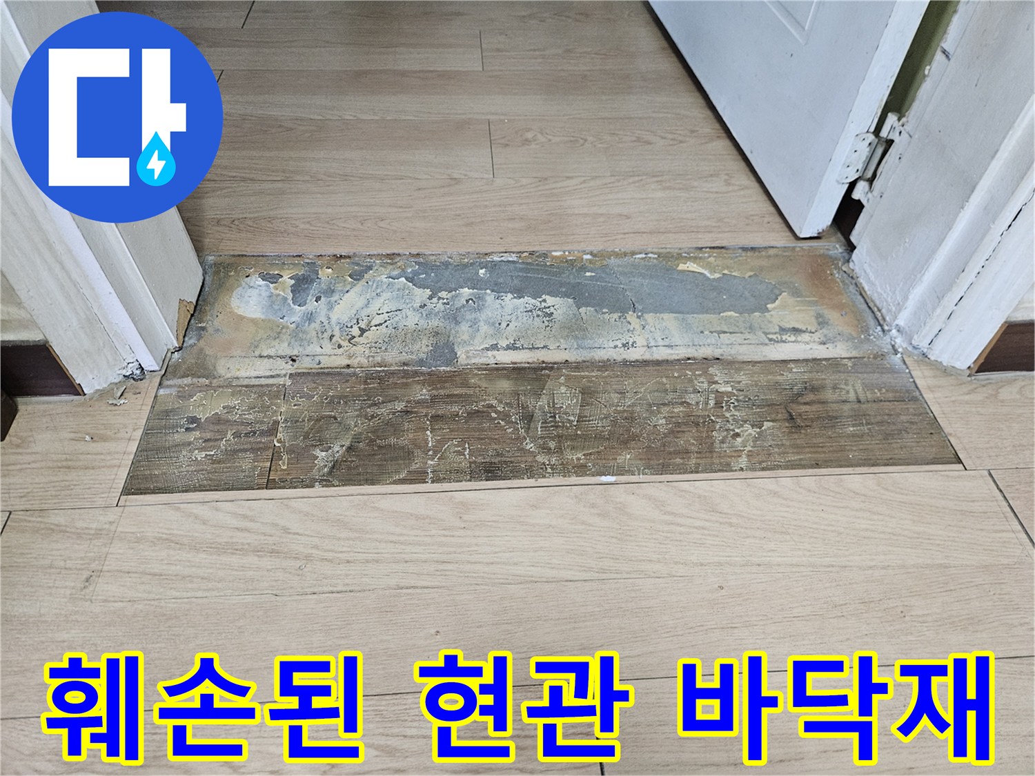 물샘으로 인해 변색되고 부풀어 오른 마루