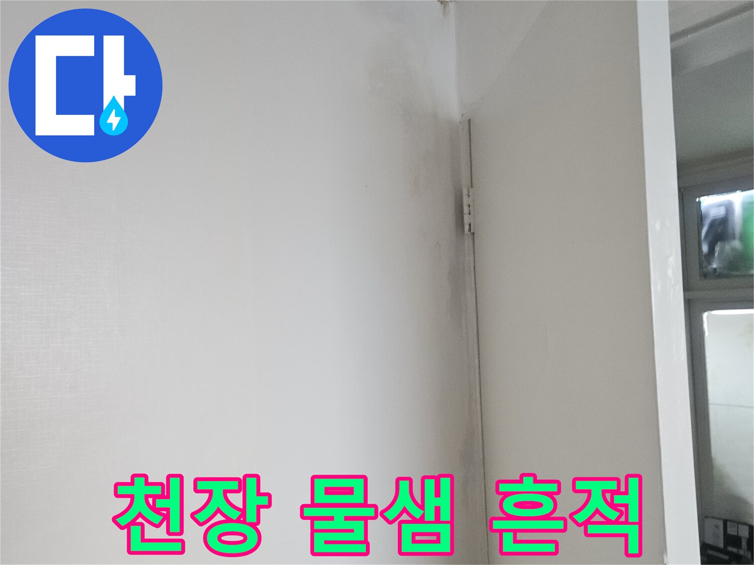 현관 천장 벽면의 어두운 얼룩 - 누수 발생 지점 확인