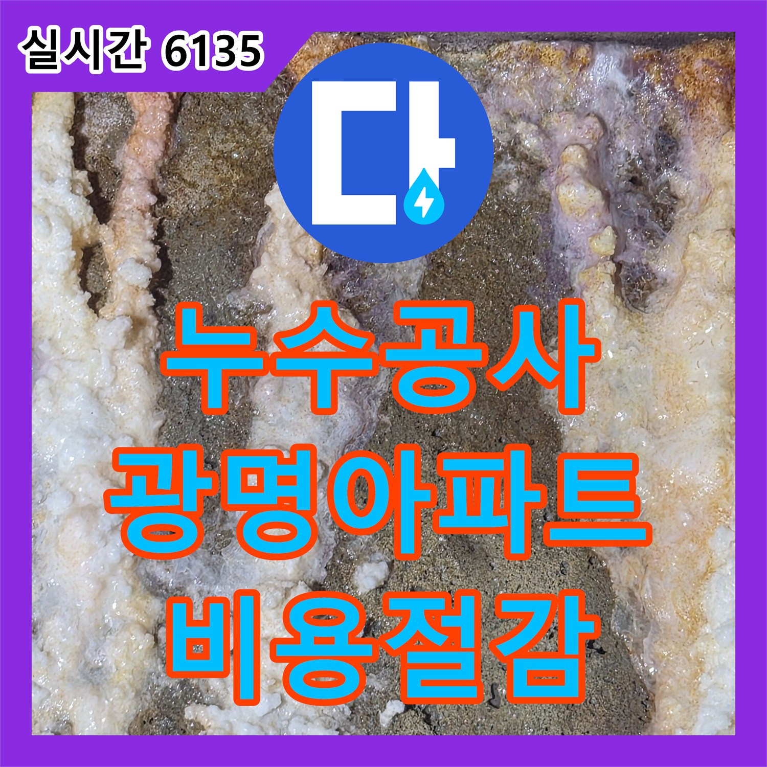 누수공사비용 합리적으로 광명시 아파트 천장 누수 원인을 정밀하게 찾아내는 과정, 경기 광명.