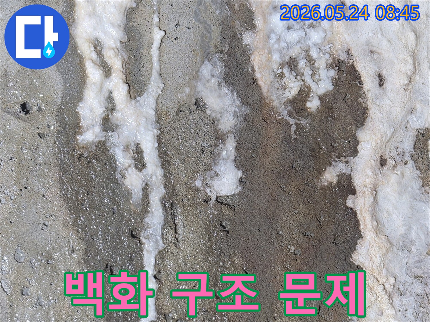 누수로 인해-벽면에 발생한-하얀 백화 현상이-건물 구조적 문제와-연관될 수 있음을 보여주는-콘크리트 벽면 이미지