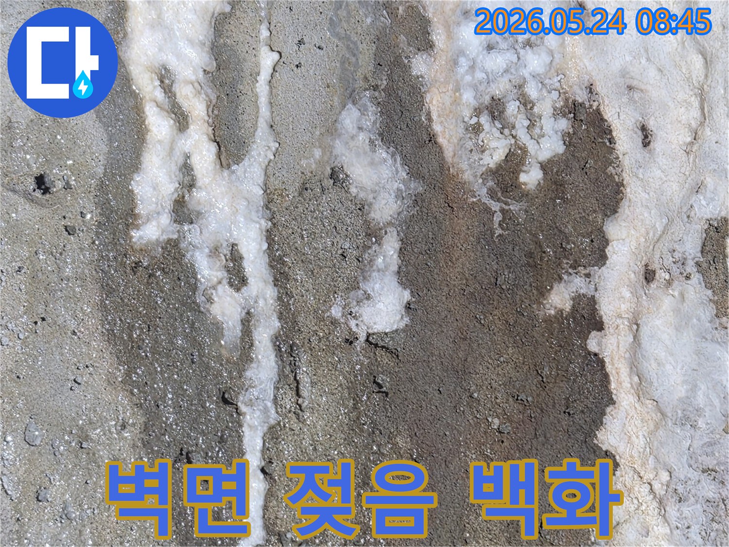 누수로 인해-벽면이 젖어 있고-그 위에 하얀 백화 현상이-겹쳐서 나타난-콘크리트 벽면의 모습