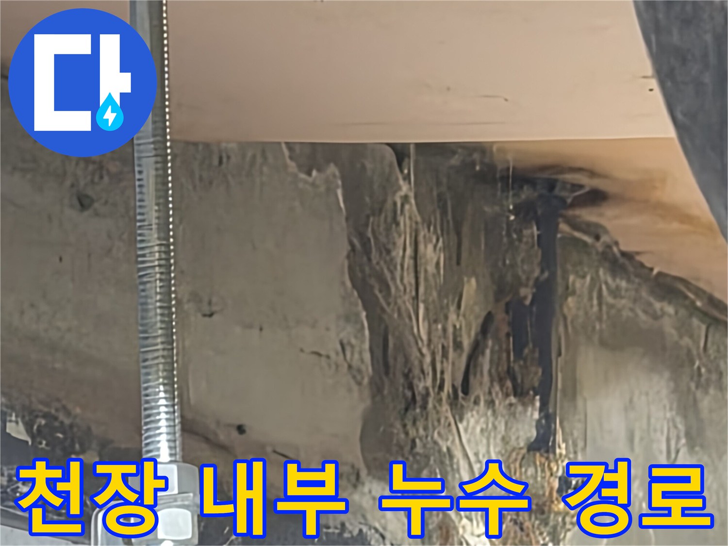 배관 사이 틈새를 타고 흘러내린 물자국과 젖은 천장 마감재 상태
