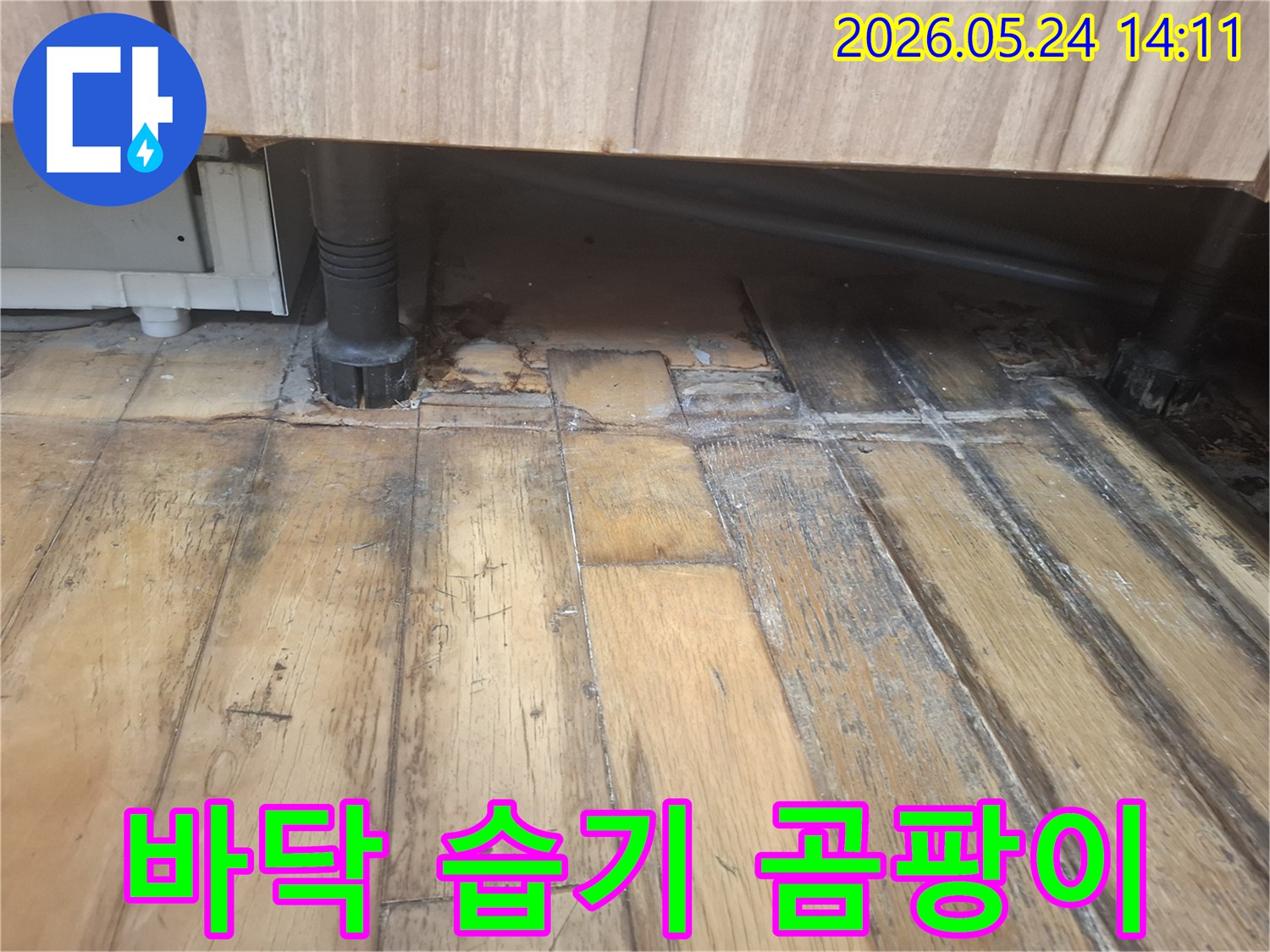 물에 젖어 어둡게 변색되고 부식된 나무 바닥과-그 옆에 위치한 검은색 배관이 보입니다