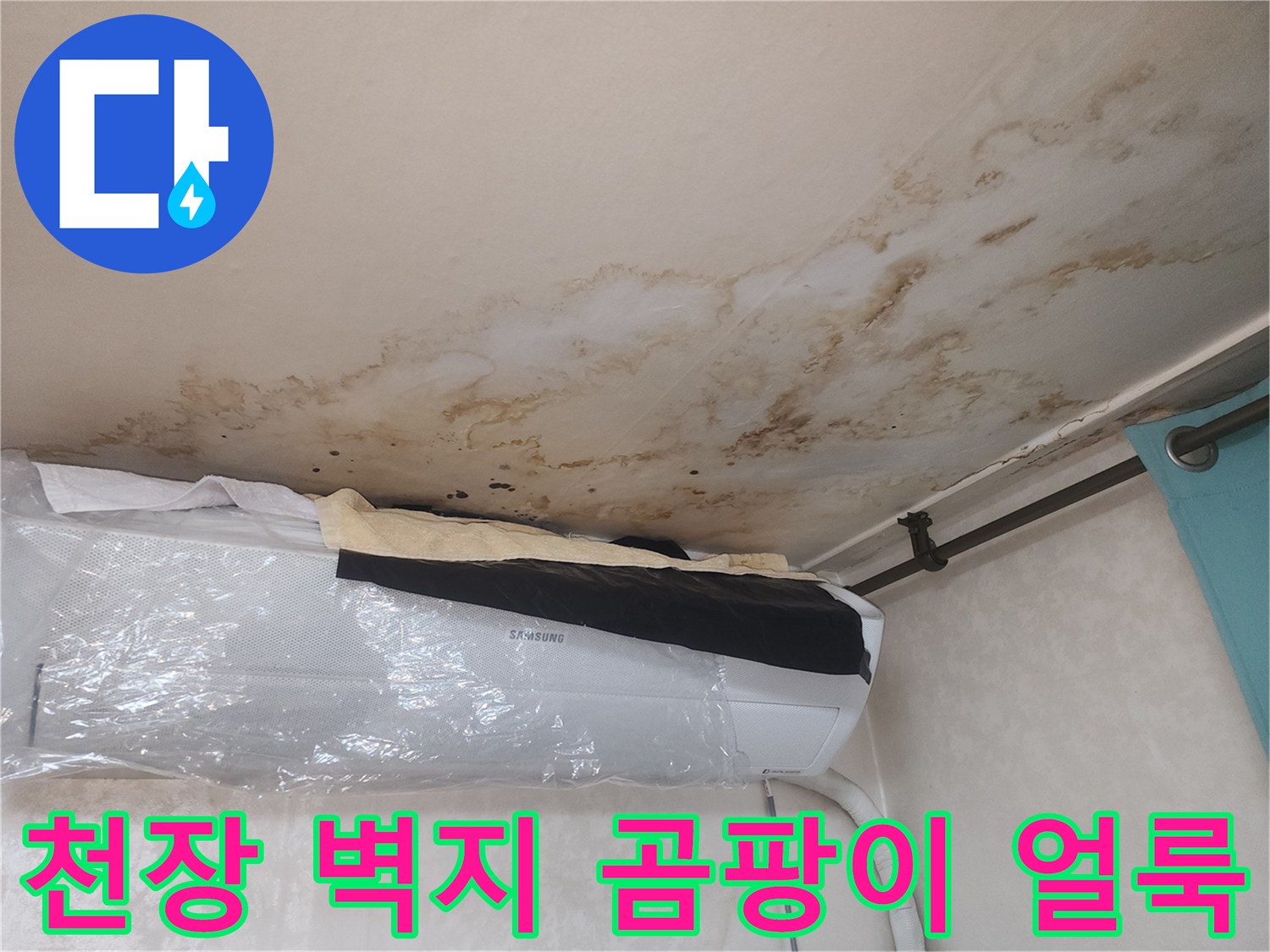 천장 면적을 넓게 차지하고 있는 누수 인한 변색과 곰팡이