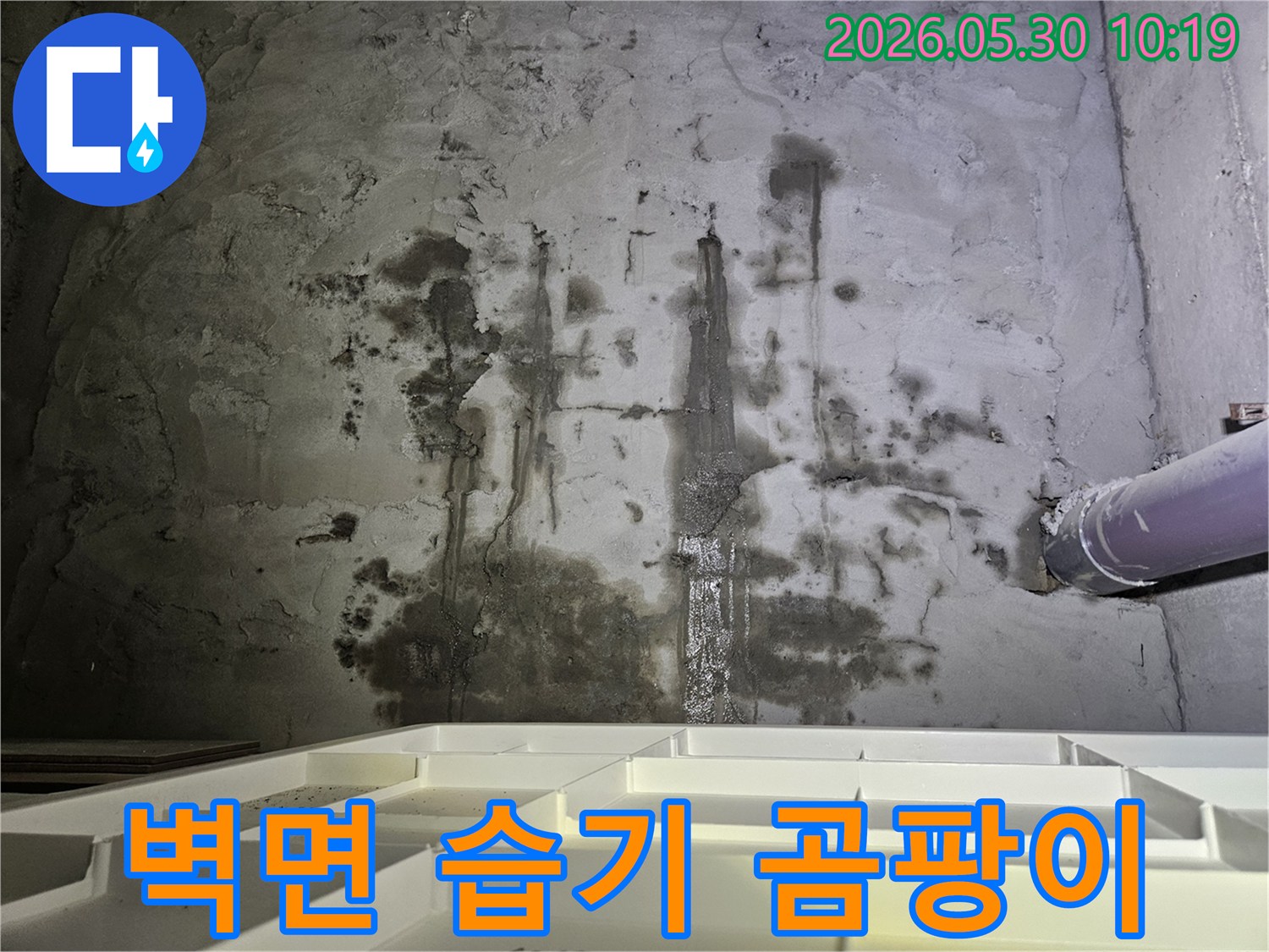 주택 지하 벽면에서-지속적인 습기와-누수로 인해-발생한-심각한 곰팡이 오염