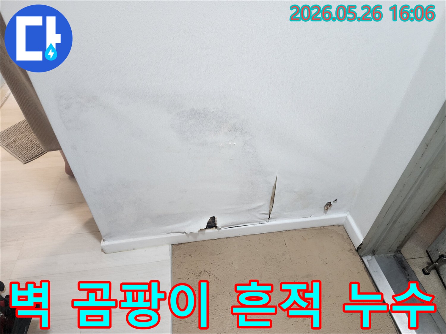 벽지-하단이-젖어-찢어지고-곰팡이가-번진-누수-발생-벽면