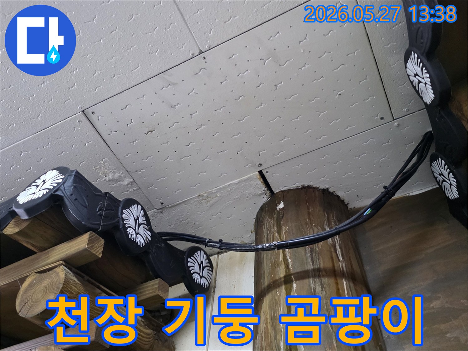 천장-마감재의-물자국과-목재-기둥의-습기로-인한-곰팡이-발생을-방지하기-위해-현장을-점검하는-모습