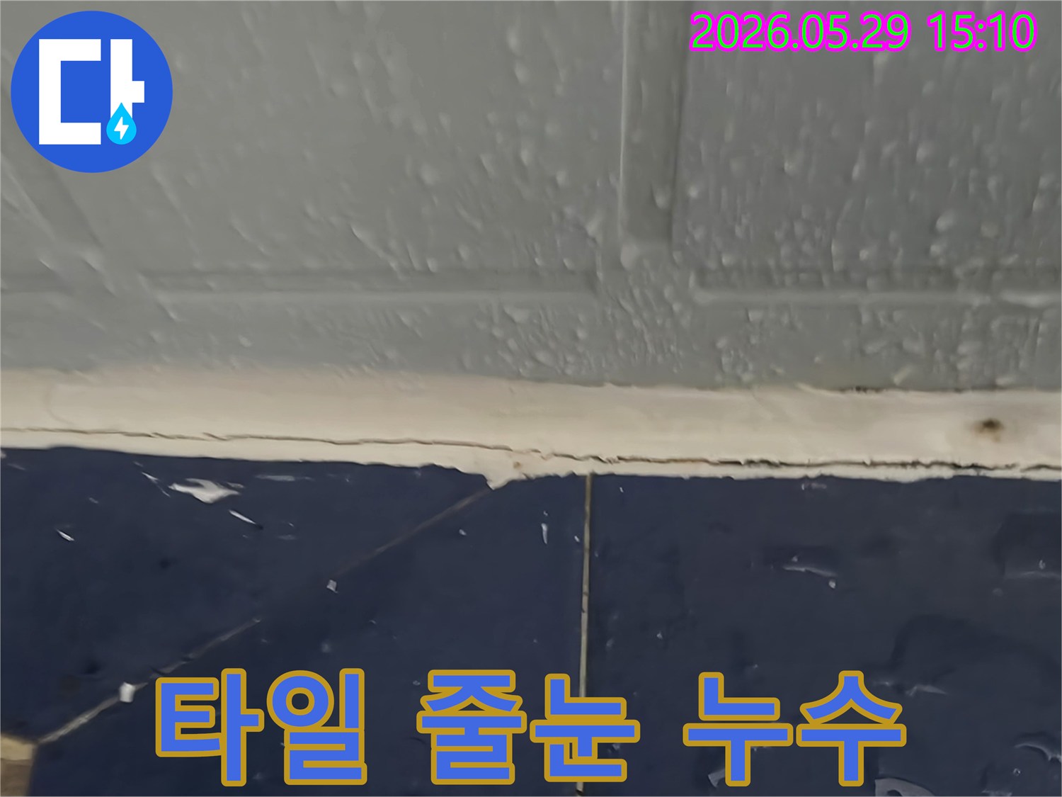 욕실 천장-타일 줄눈 부분에서 물이 스며들어 물방울이 맺힌 모습-누수 전문가가 원인을 조사 중