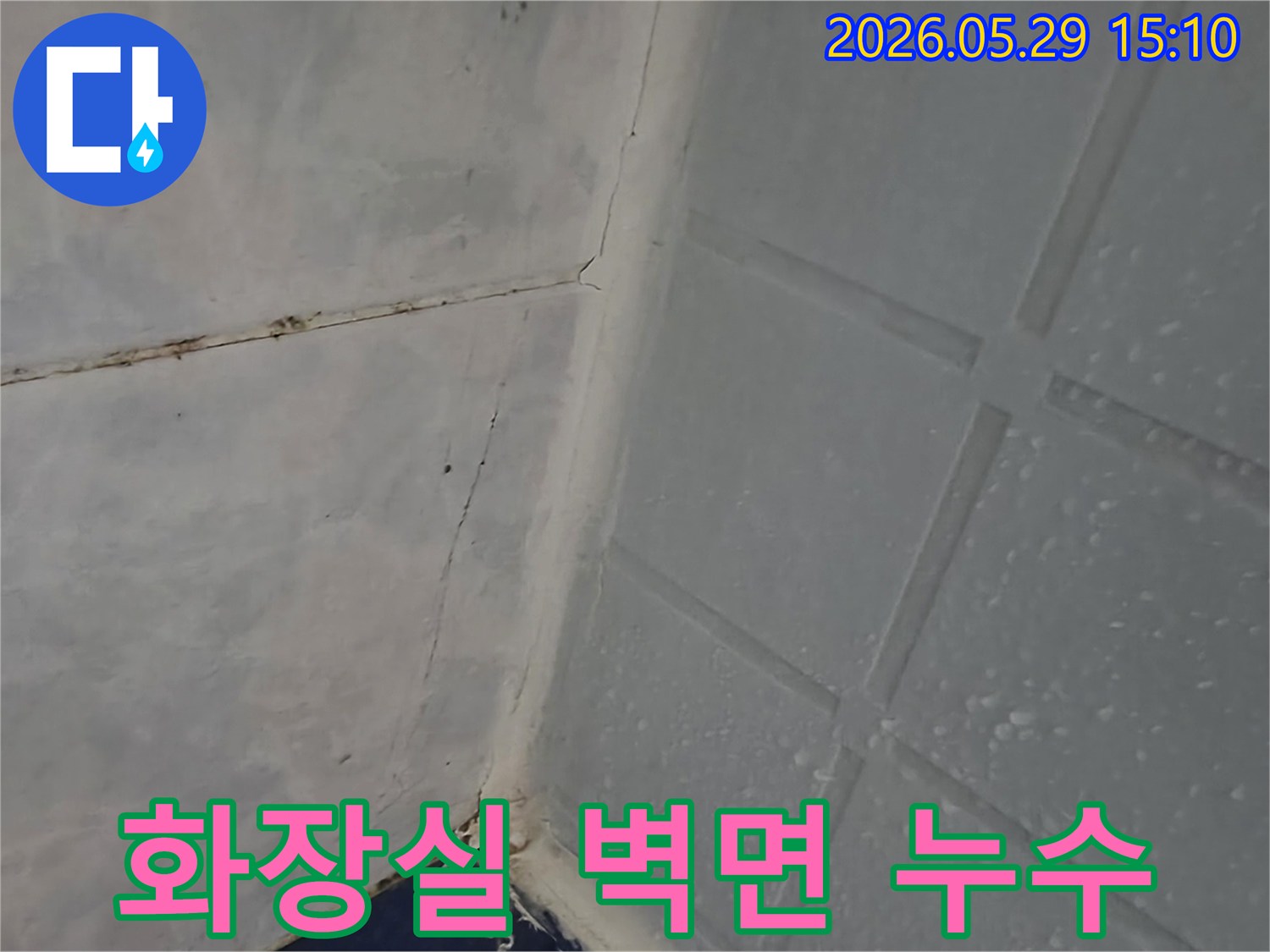 이 사진은 동두천 지역 아파트 화장실 벽면에 나타난 누수로 인한 곰팡이와 물방울 흔적을 보여줍니다-전문가가 현장 진단을 진행 중입니다