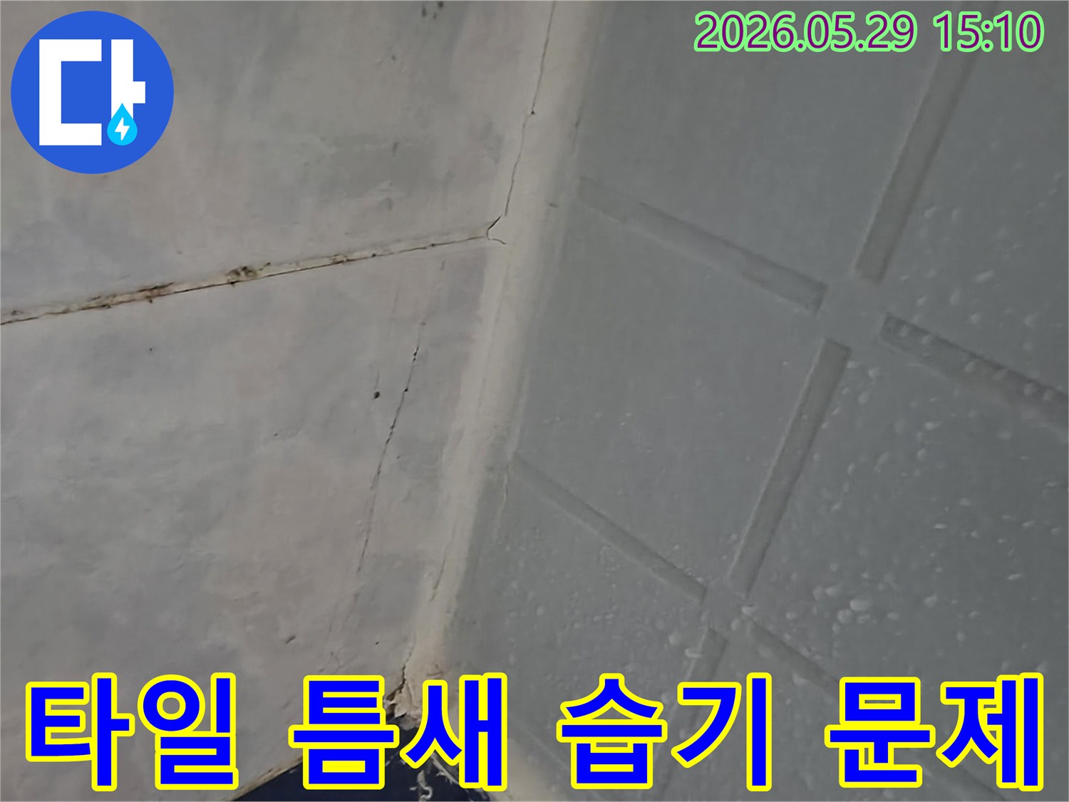 이 이미지는 동두천 아파트 욕실 타일 틈새에 습기가 보이는 누수 현장을 보여줍니다-전문가가 습기 원인과 누수 연관성을 조사하고 있습니다
