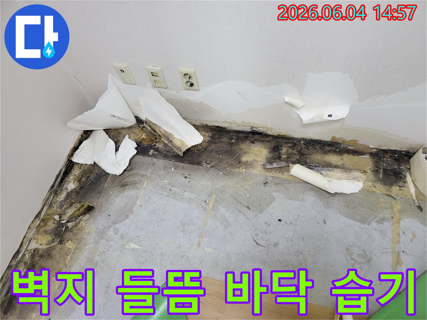 누수로 인해 벽지가 들뜨고-벽면 하단과 바닥에 검은 곰팡이가 심하게 번진-주거 공간의 피해 상황을 보여주는 사진