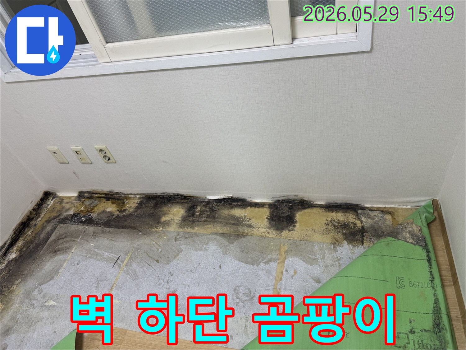벽 하단에 검은 곰팡이가 넓게 퍼져 있고-바닥이 물에 젖어있는 누수 현장 사진